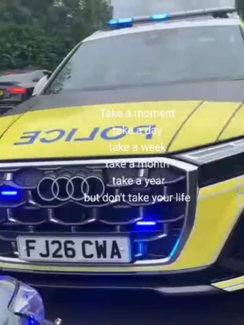 @blue light spotter02