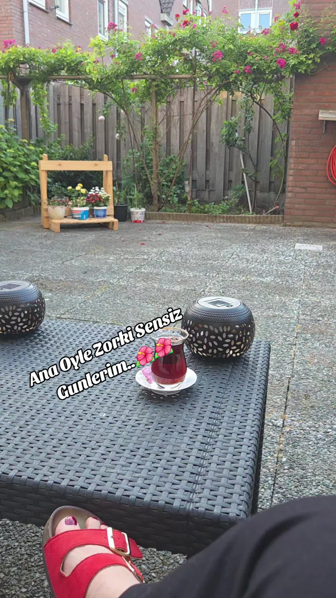 @🌺🌺🌺🌺