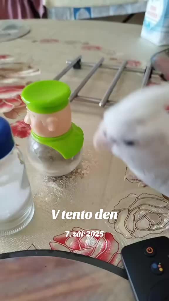 @🐦Eva Maria Vráblíková 🐕