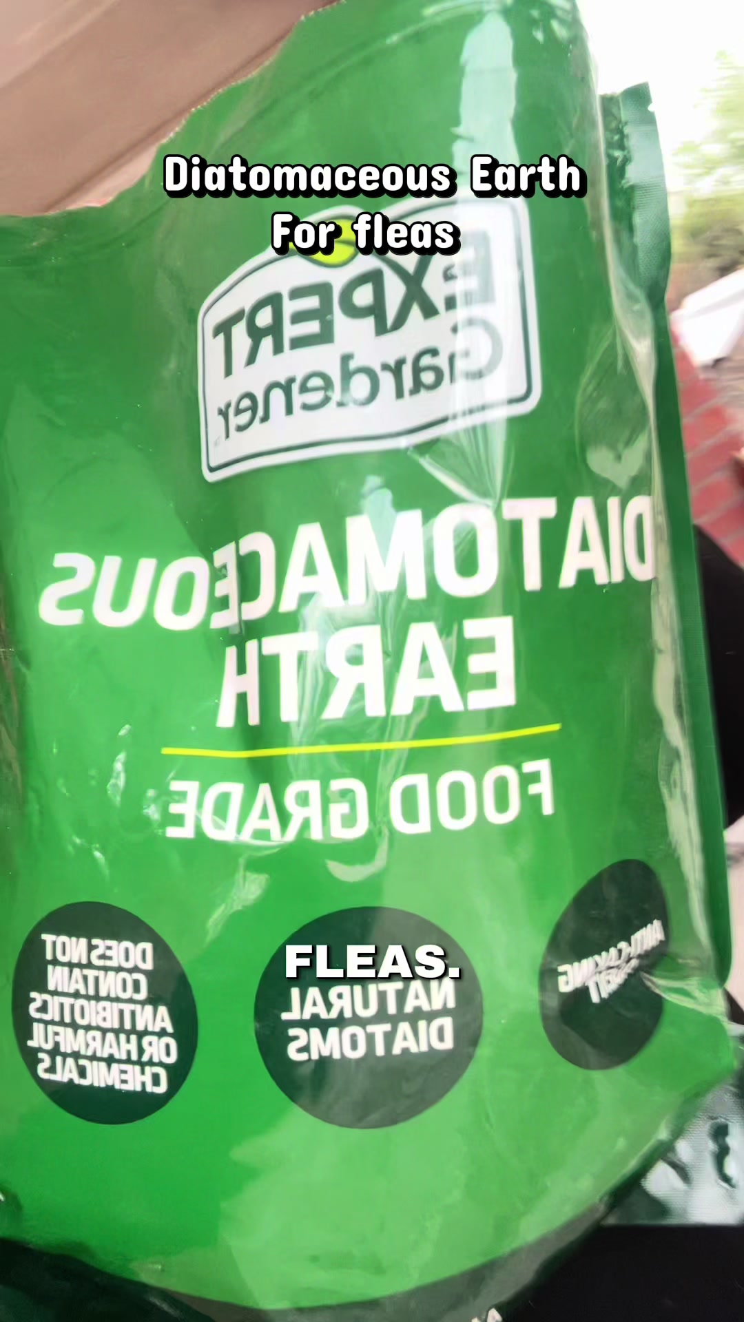 @Diana