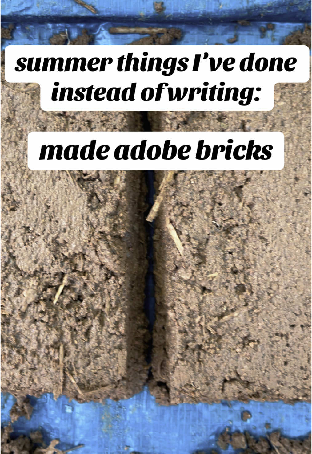 @Aleta Burchyski // Writer