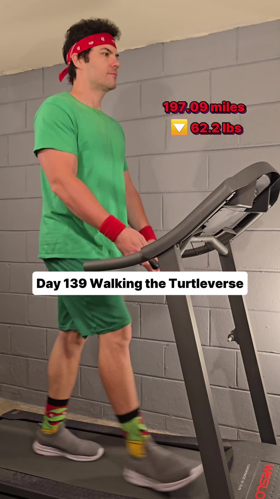 @Walking the Turtleverse