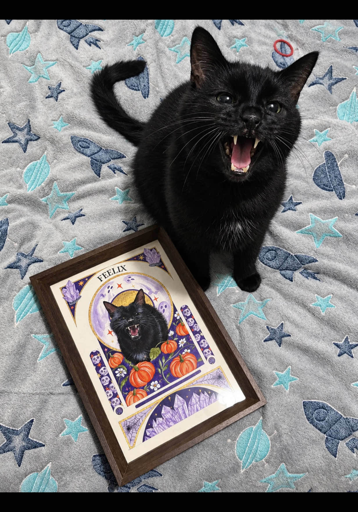 @Teefie_tribe 🐈&zwj;⬛🐈&zwj;⬛🐈🦷🦷