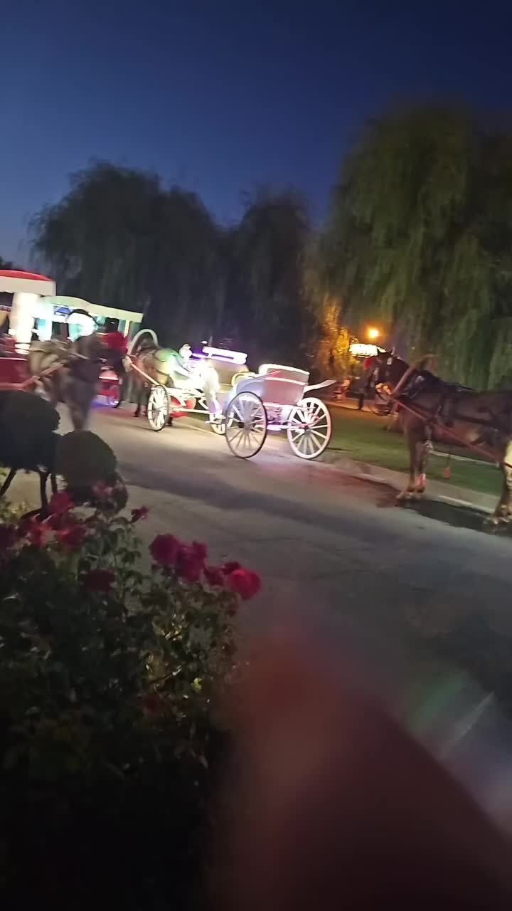 @🌾başak🌾