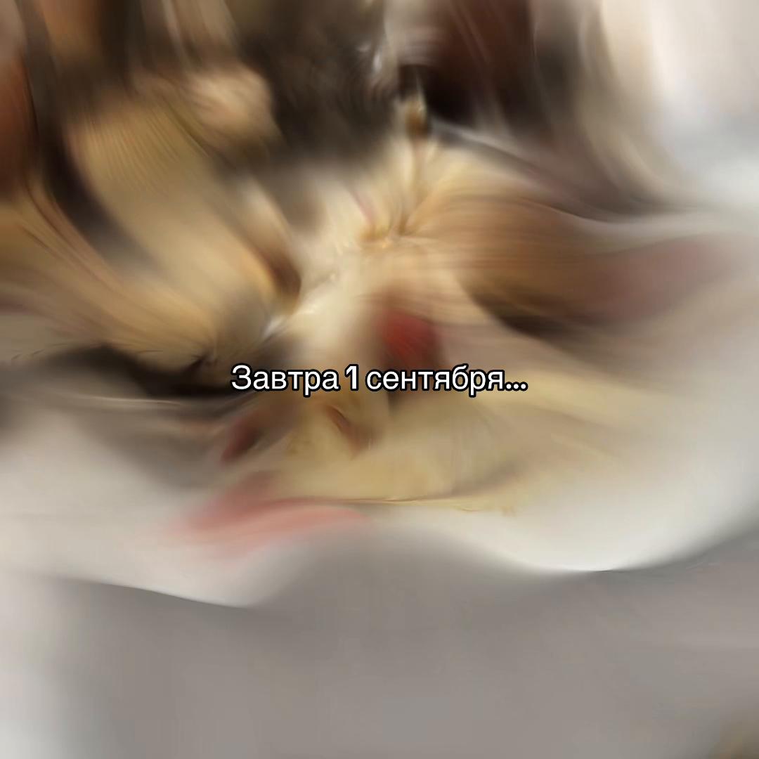 @ღ ʏᴇʜᴏʀ ღ