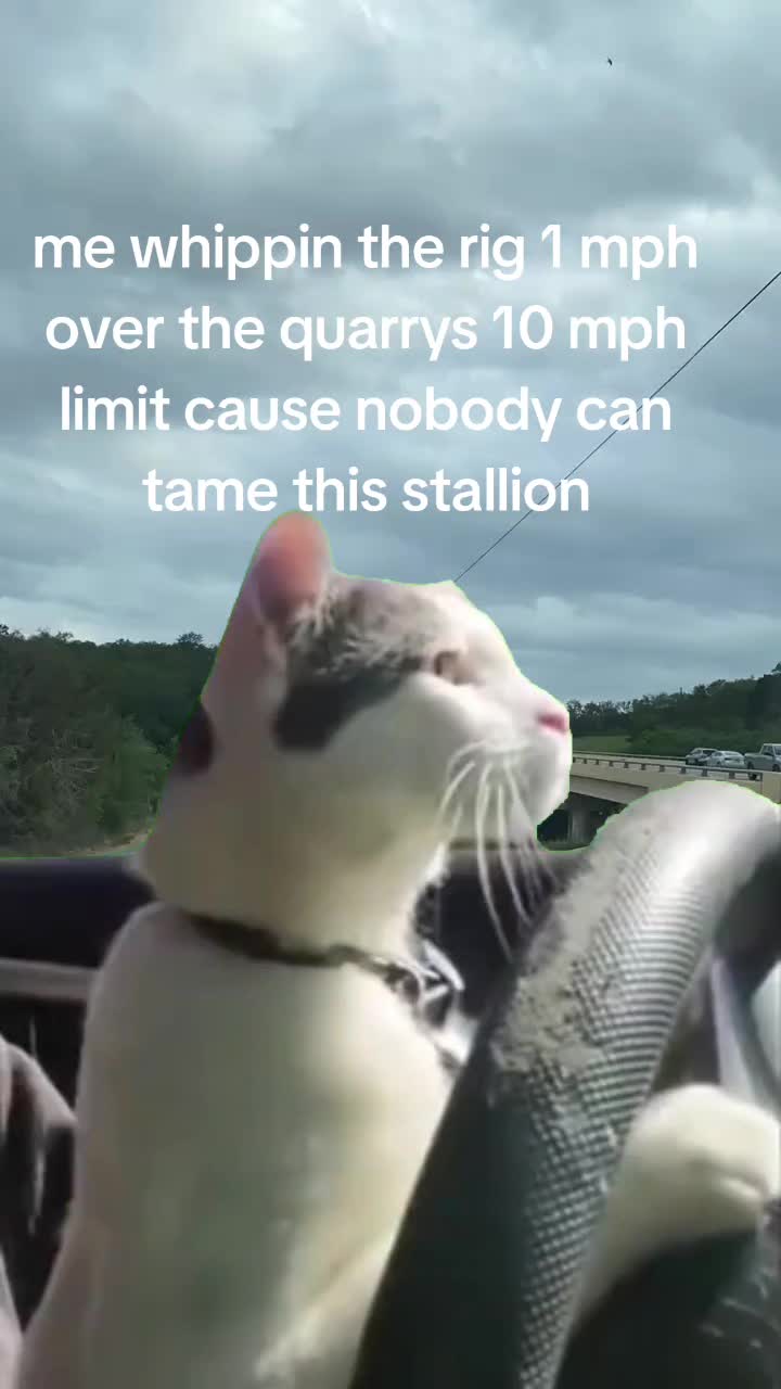 @ThatTrackGringo