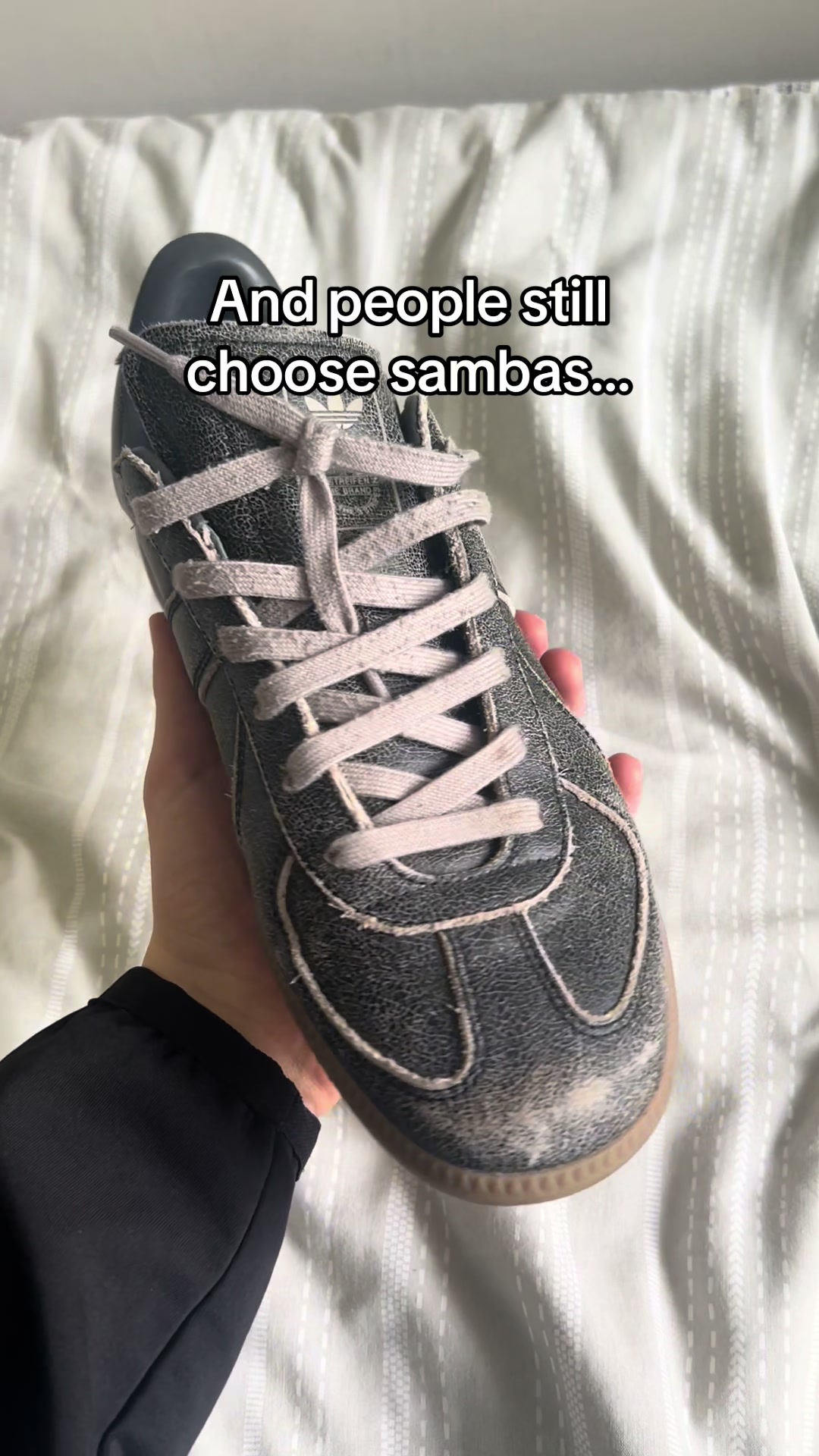 @Haz.mp4