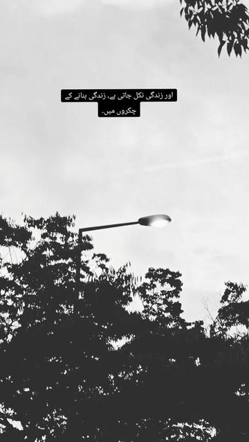 @-((👑🇨🇵.Syed🫶zada.🇨🇵👑))-