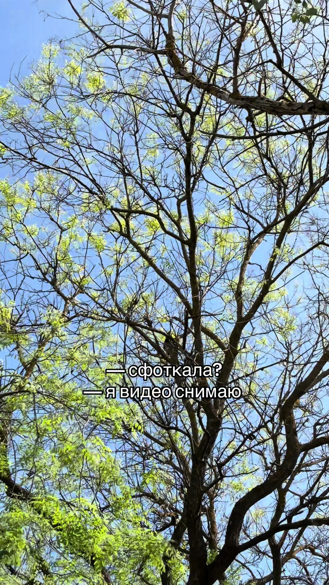 @паршин