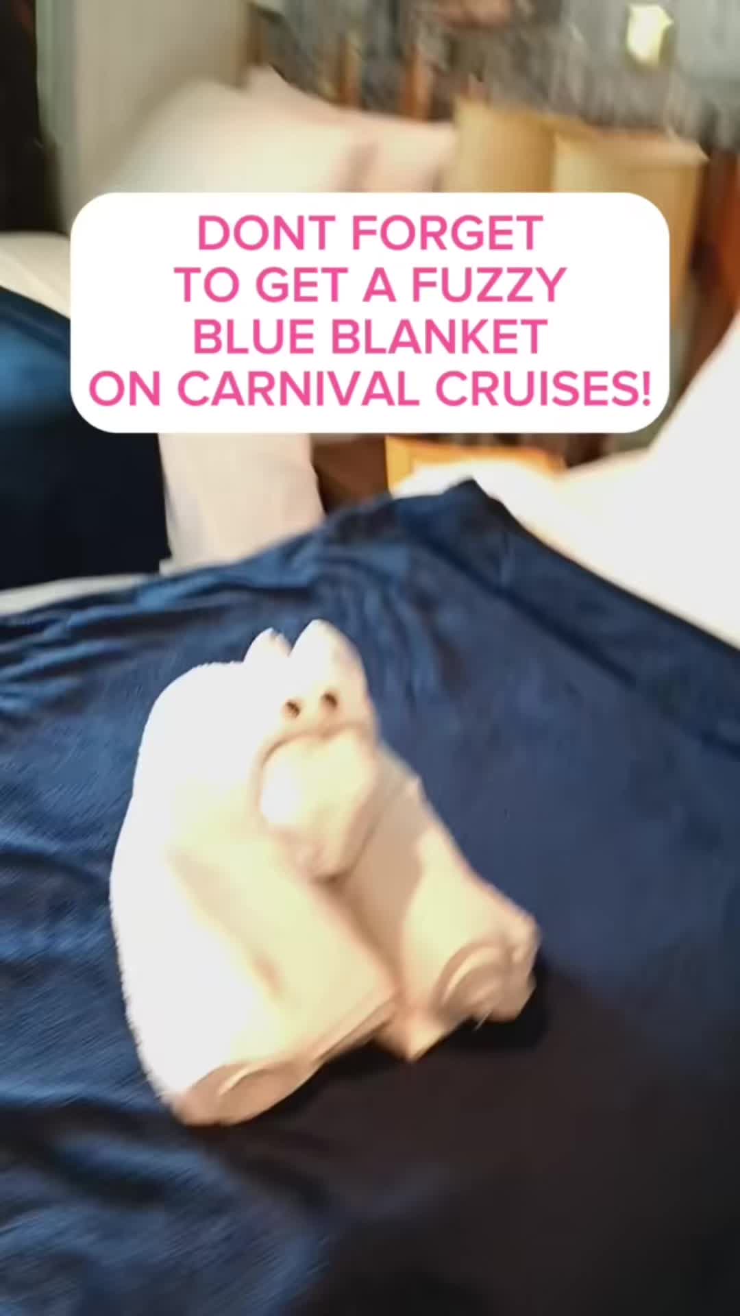 @Ashley💕Cruising on a budget!
