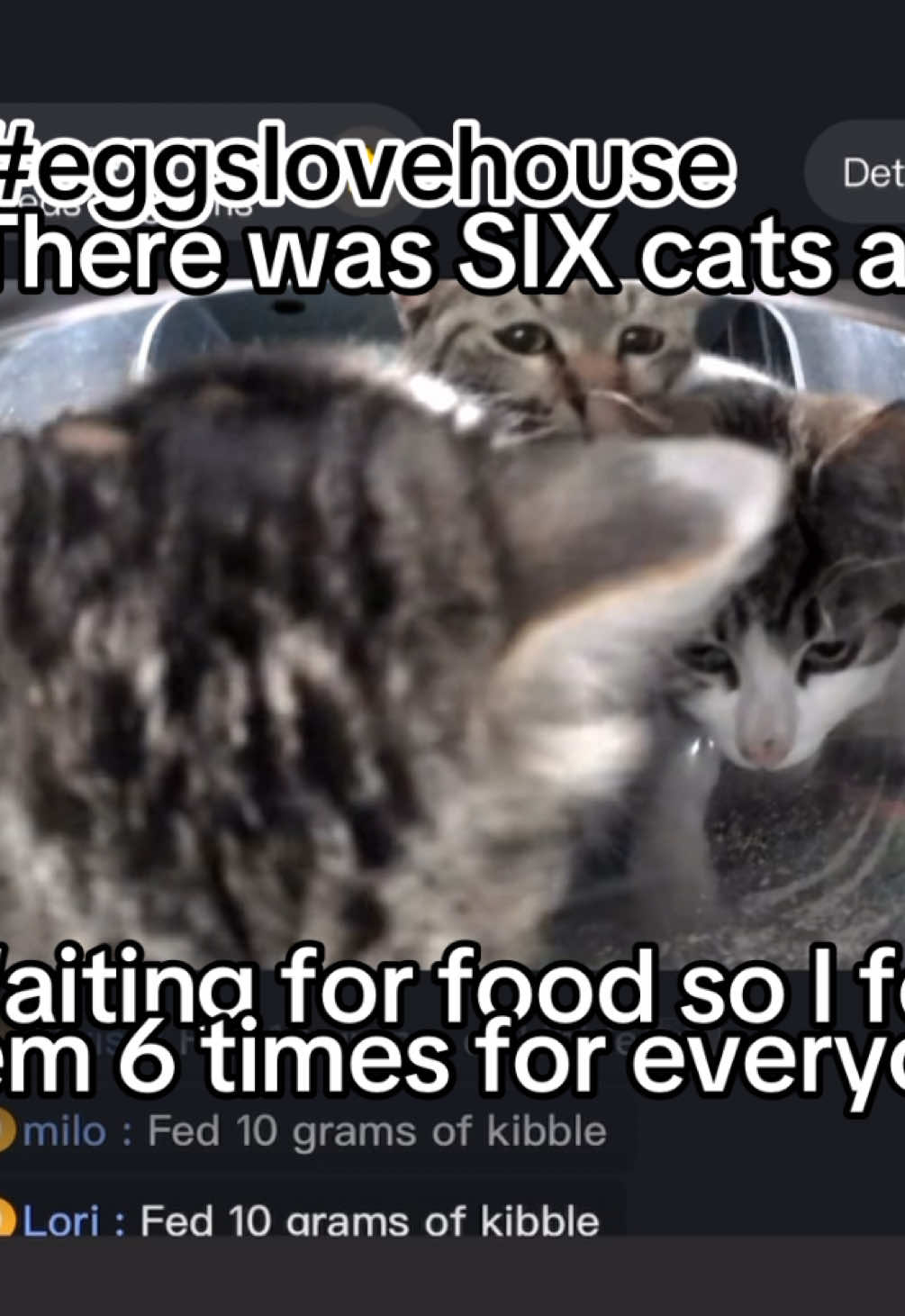 @Purrrr