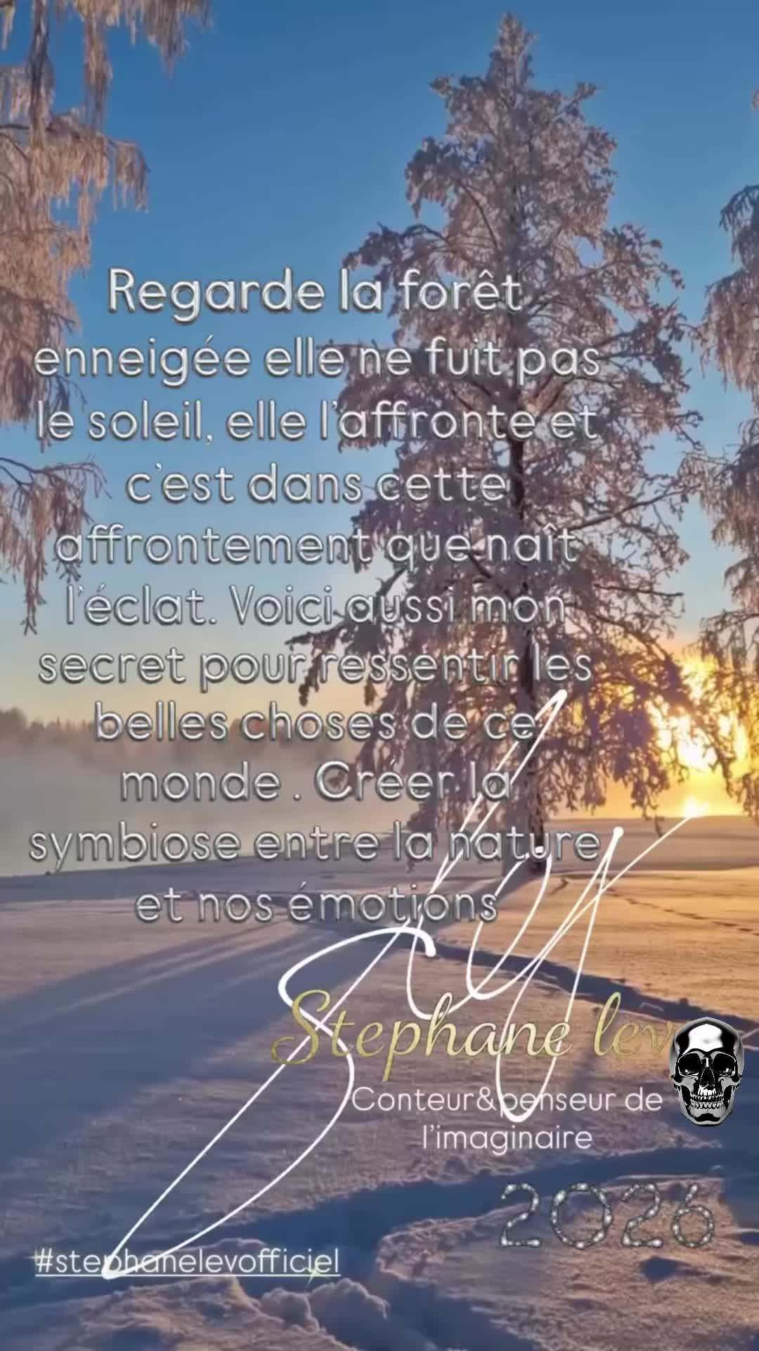 @stephanelevinternational