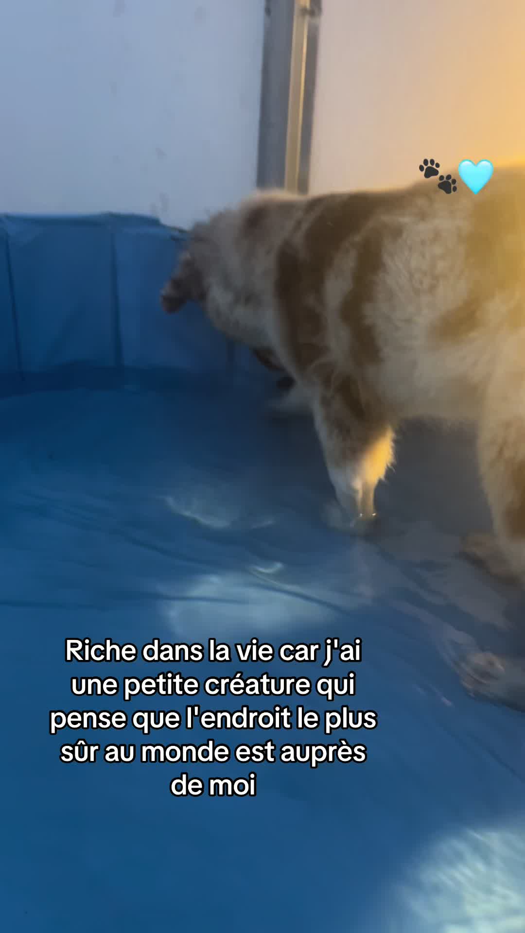 @Séréna 🐺