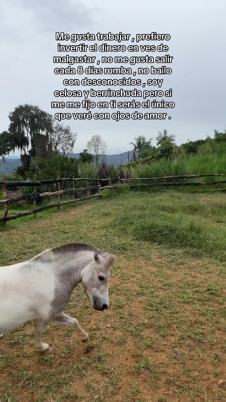 @Eli López 🦜 team periquito 🫀