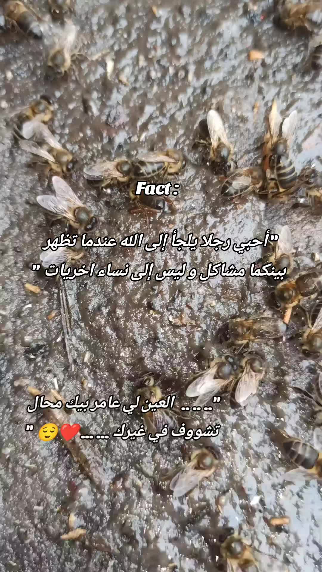 @Moussa tupac