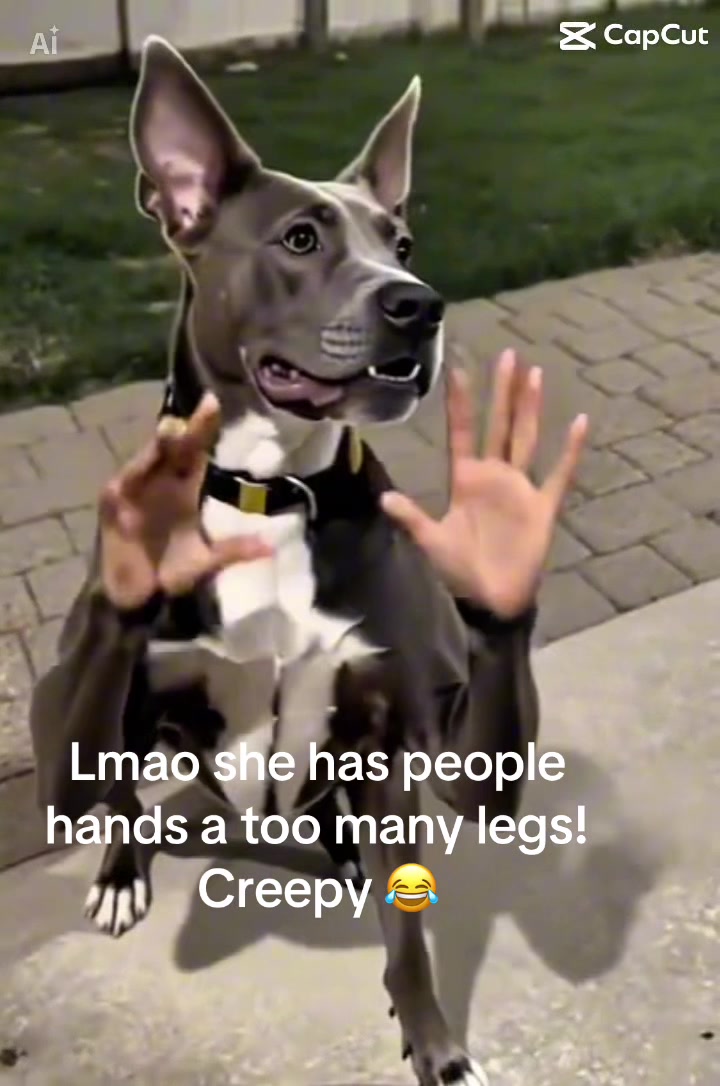 @Rescuelady