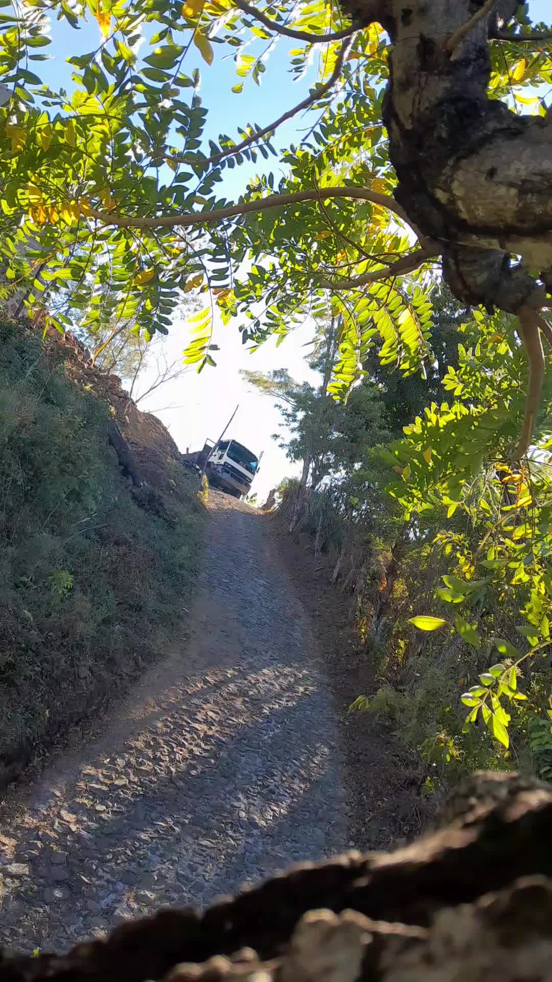 @😑 isai cabrera