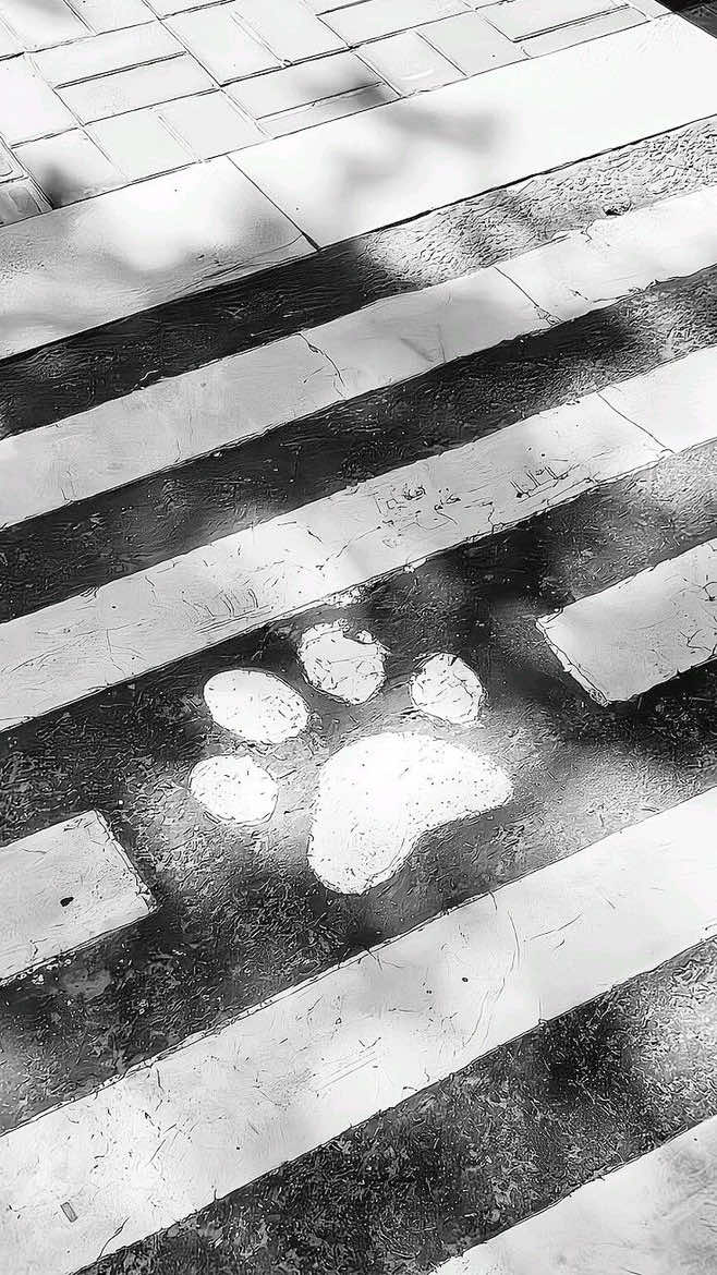 @♯ ݁ hanni 🧁🐾 ˖ ౨౿
