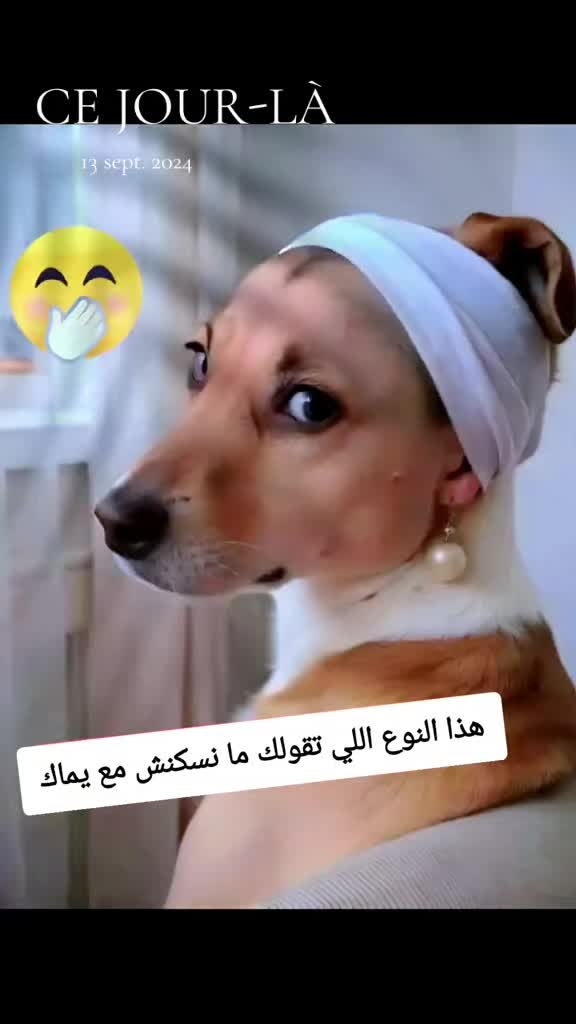 @@leila. ليلى
