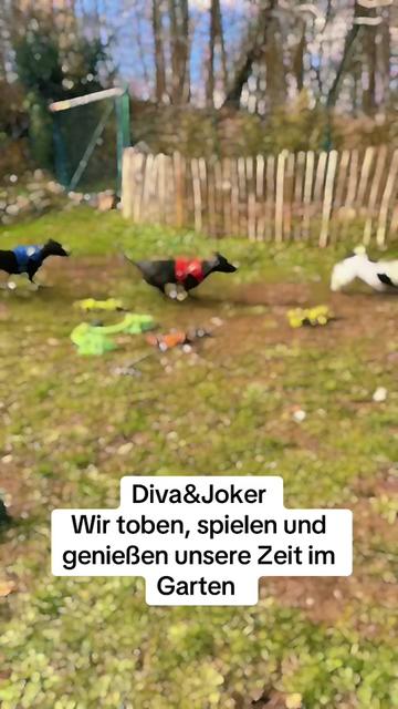 @Joker & Diva