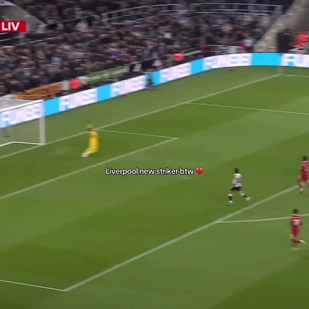 @lfcflo
