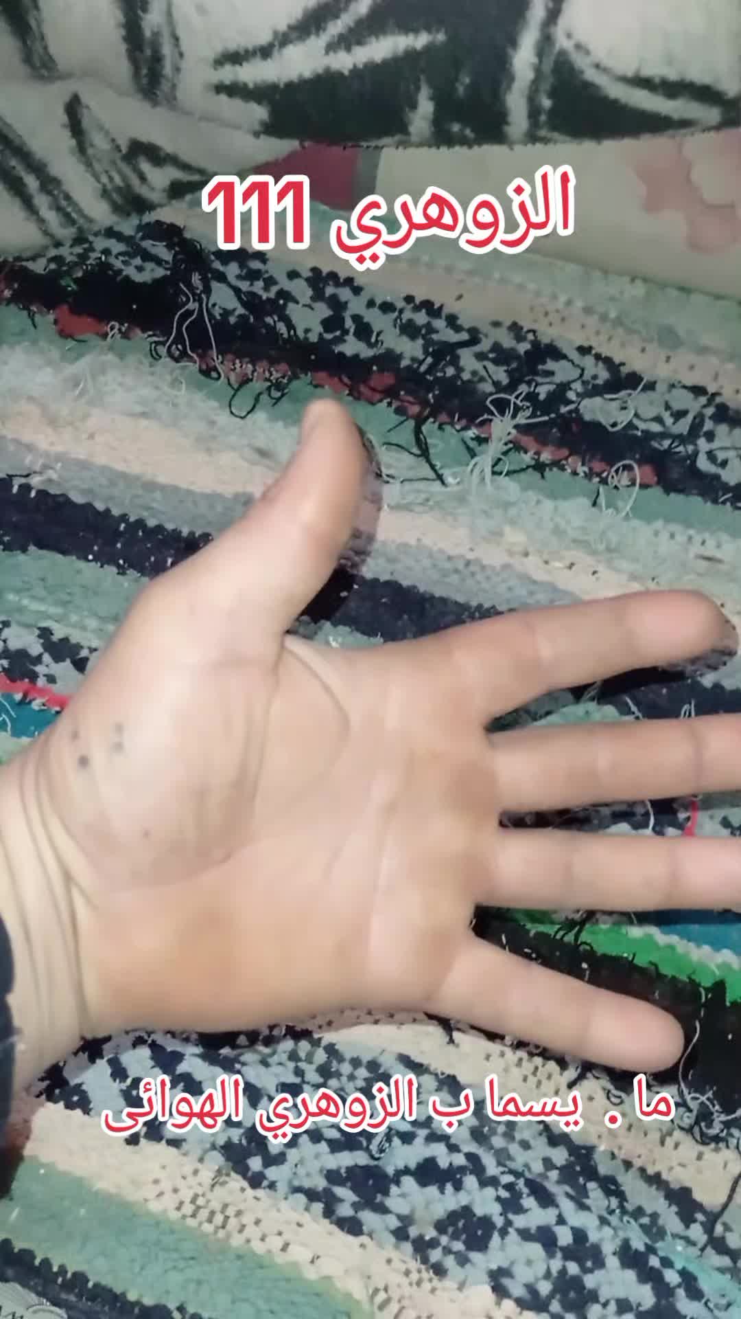 @الزوهري المعالج