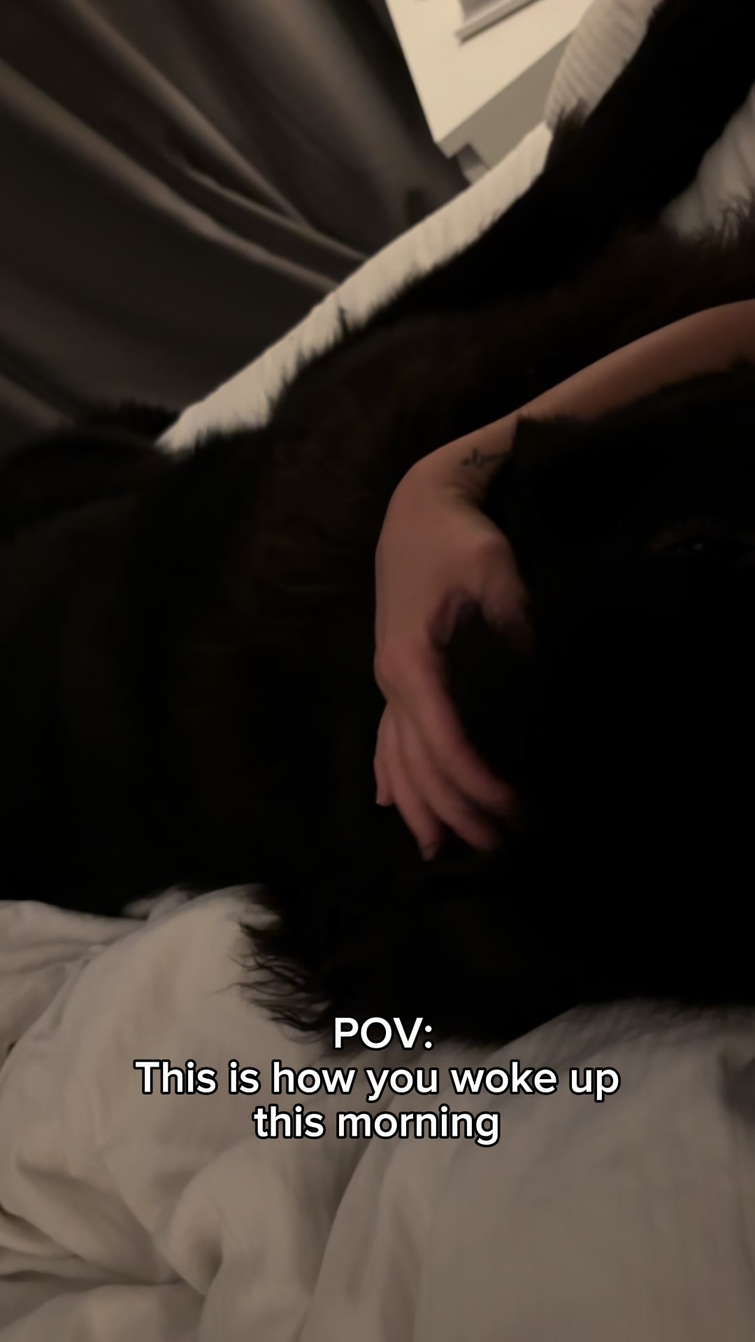 @Newfypups