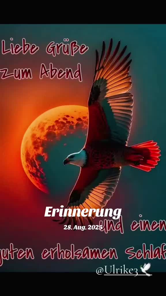 @Ulrike3🕊