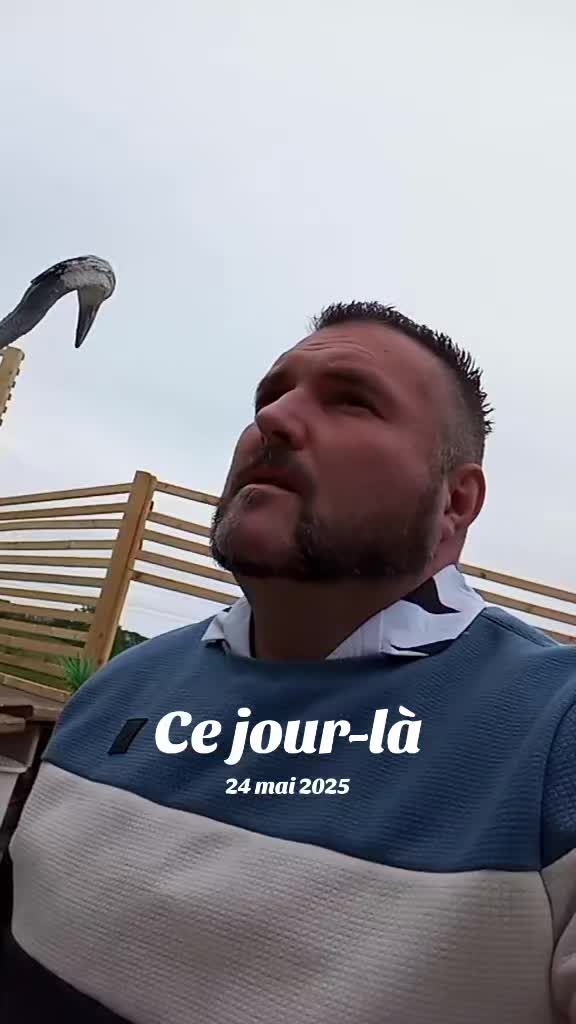 @jimloilyana le sicilien