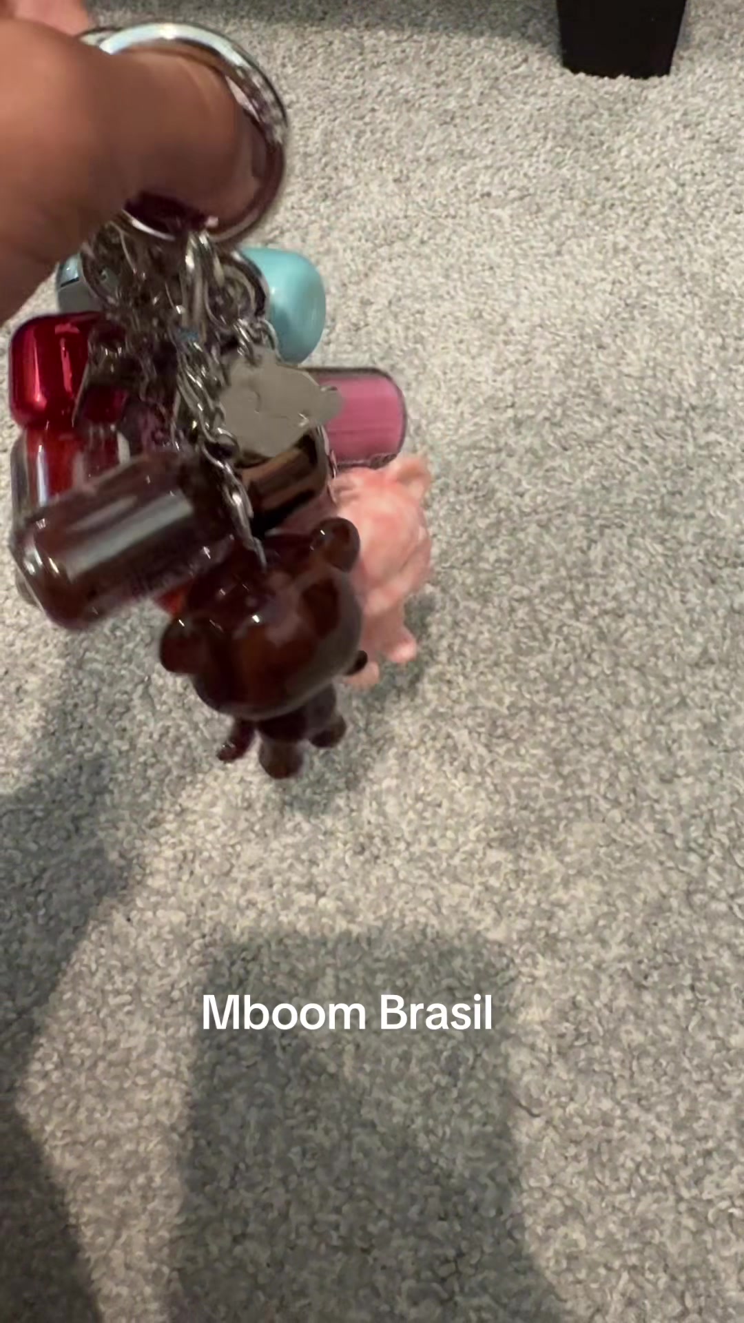 @Larissa Alpino