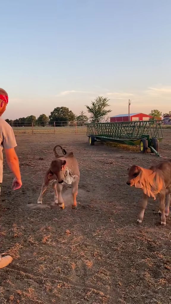 @The V6 Ranch