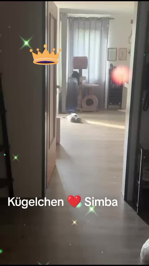 @Elena L885