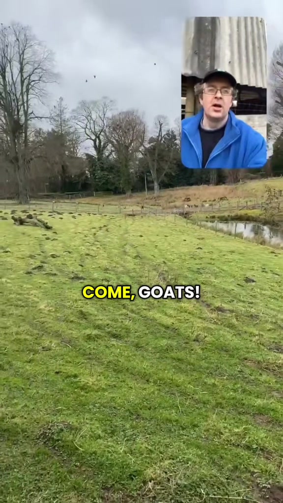 @Sunny B Goats🌞B🐐