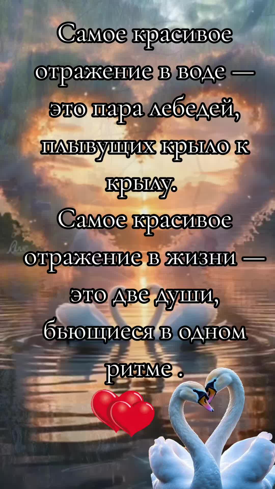 @꧁💞 𝙊𝙇𝙂𝘼 💫🎶꧂