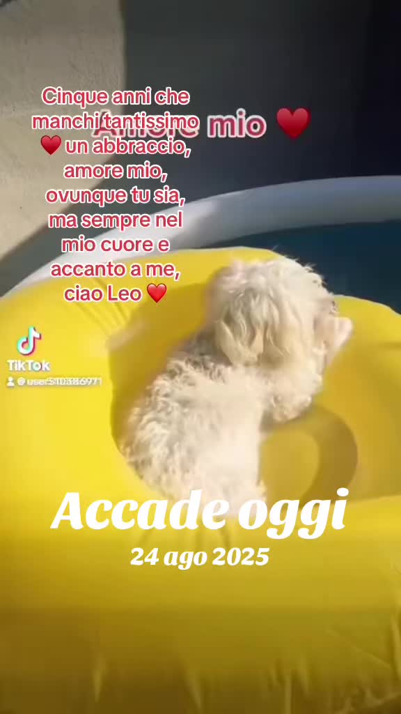 @Manumanufrau66