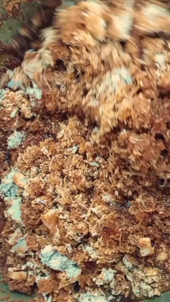@K🧸🤎