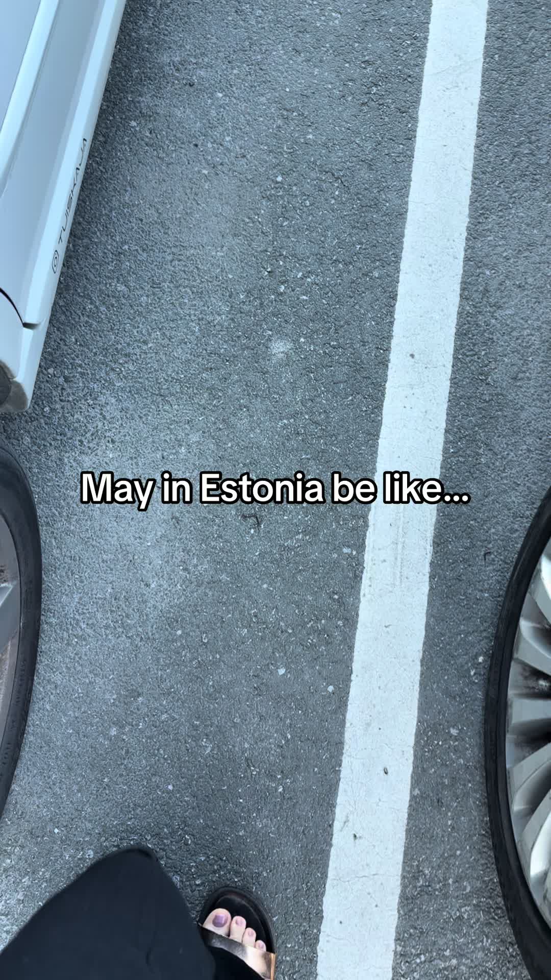 @kokat2di