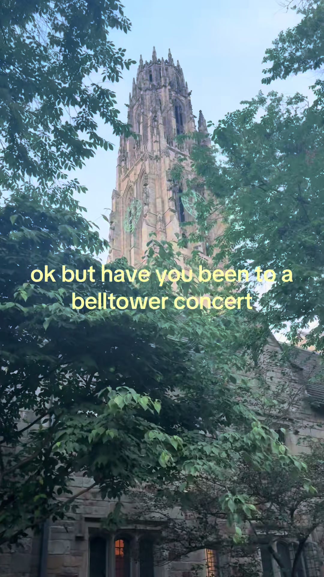 @sarosverse