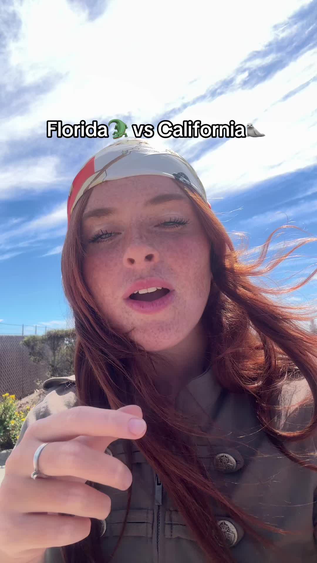 @aurora.sheaves