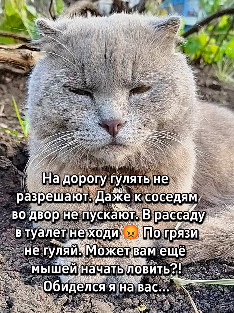 @🐈Масик&Андрей🥰