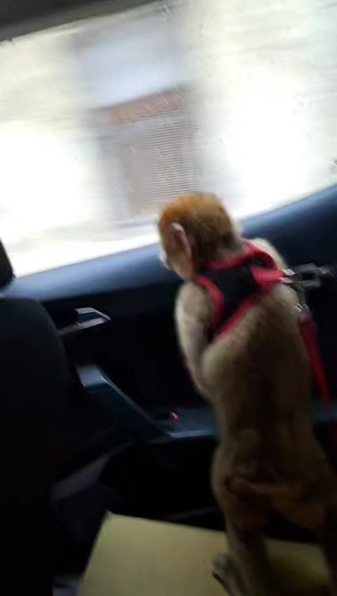 @zabcha 23 New