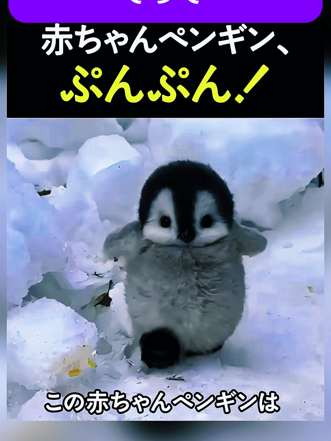 @ujhkolvqg00