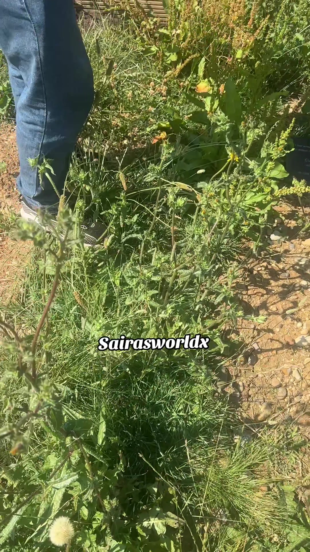 @Sairasworld🥰