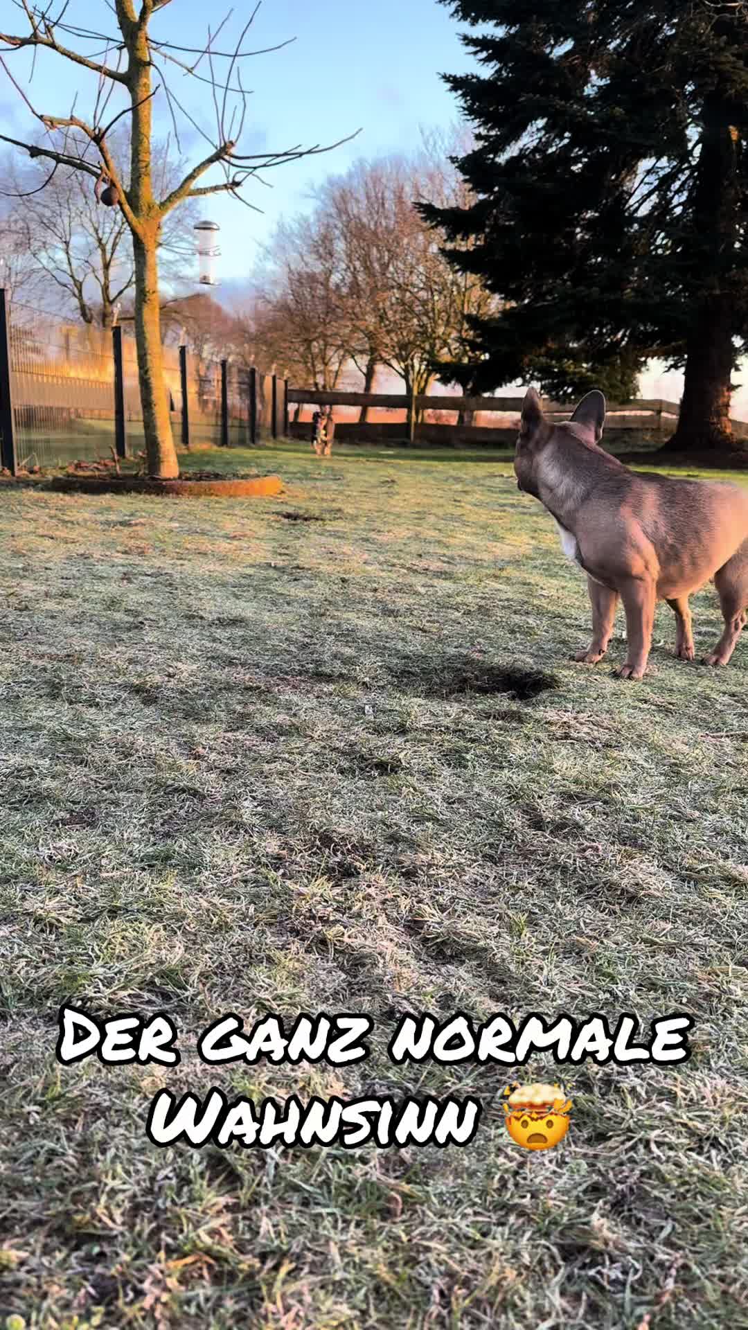 @In‘t Noord