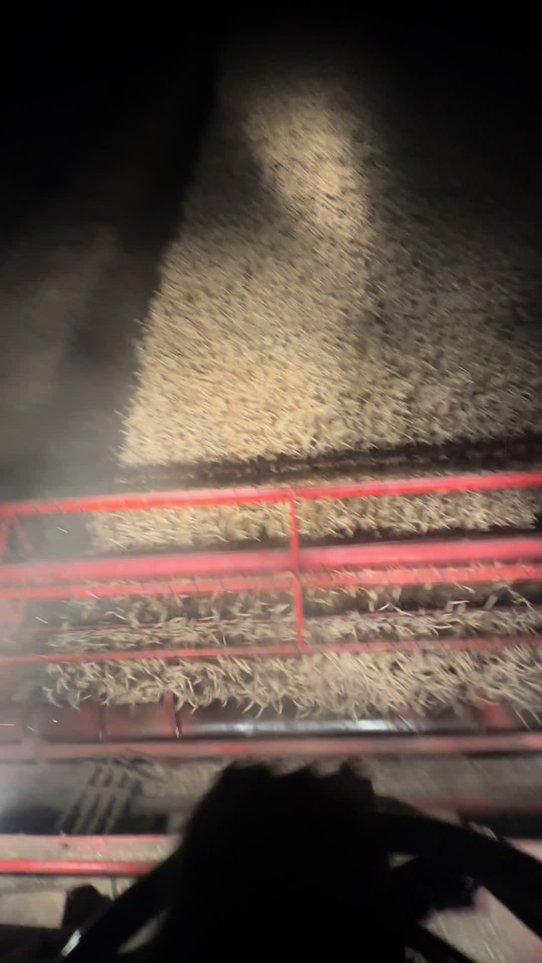 @Ćwikła agro