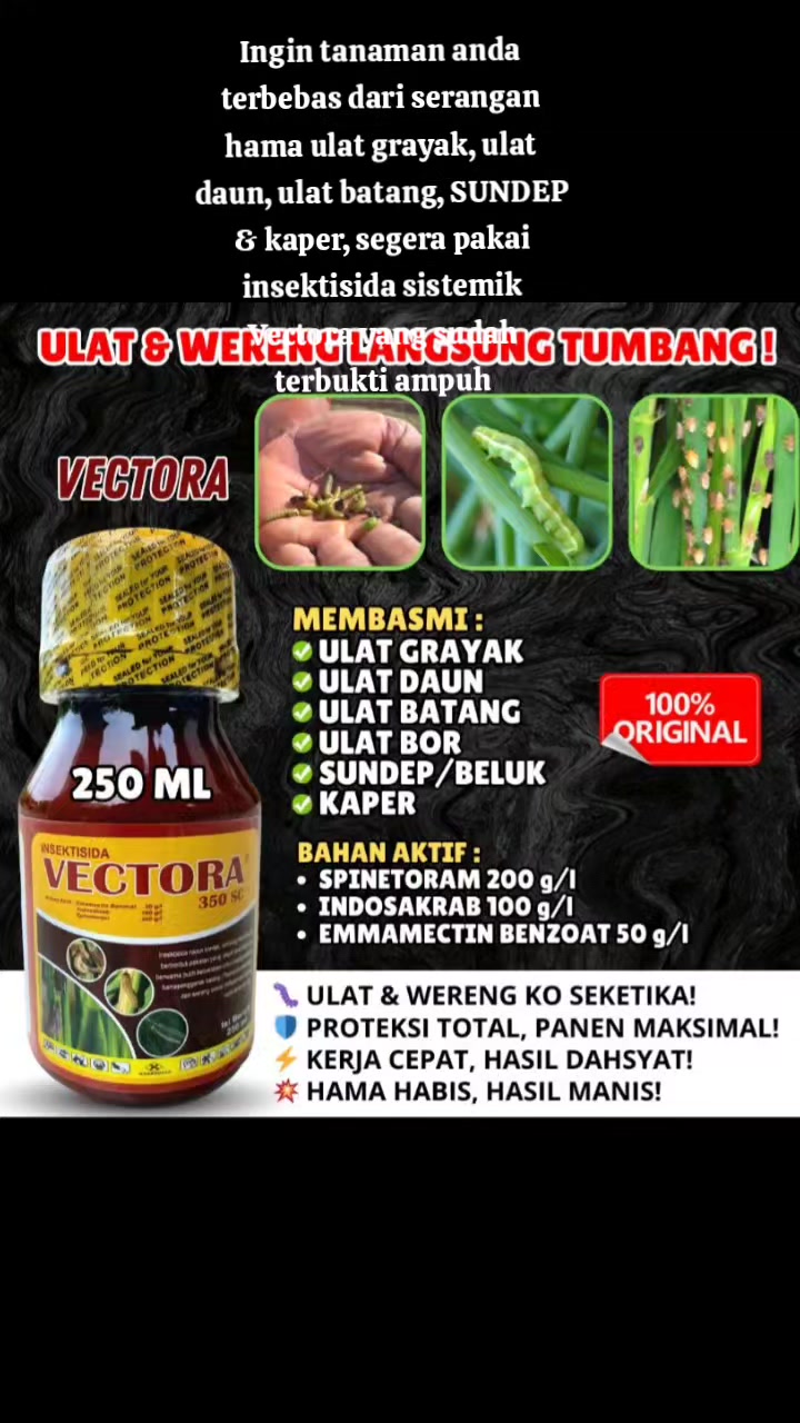@Awig Shop Jaya Santosa