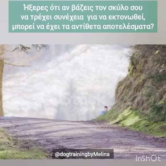 @dogtrainingbymelina