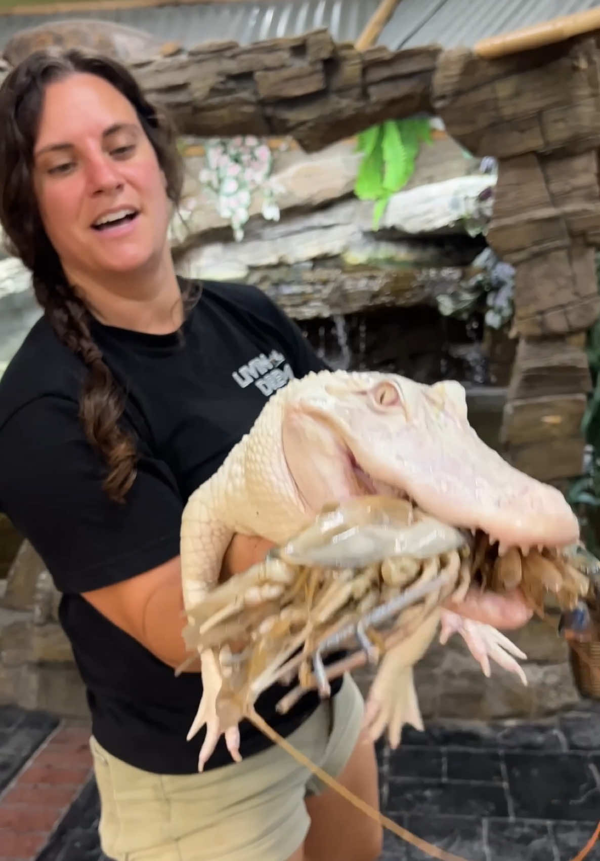 @The Reptile Zoo