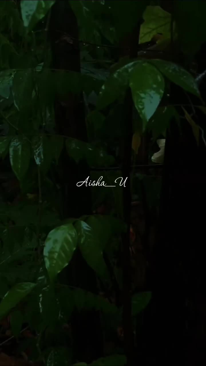 @Aisha_U