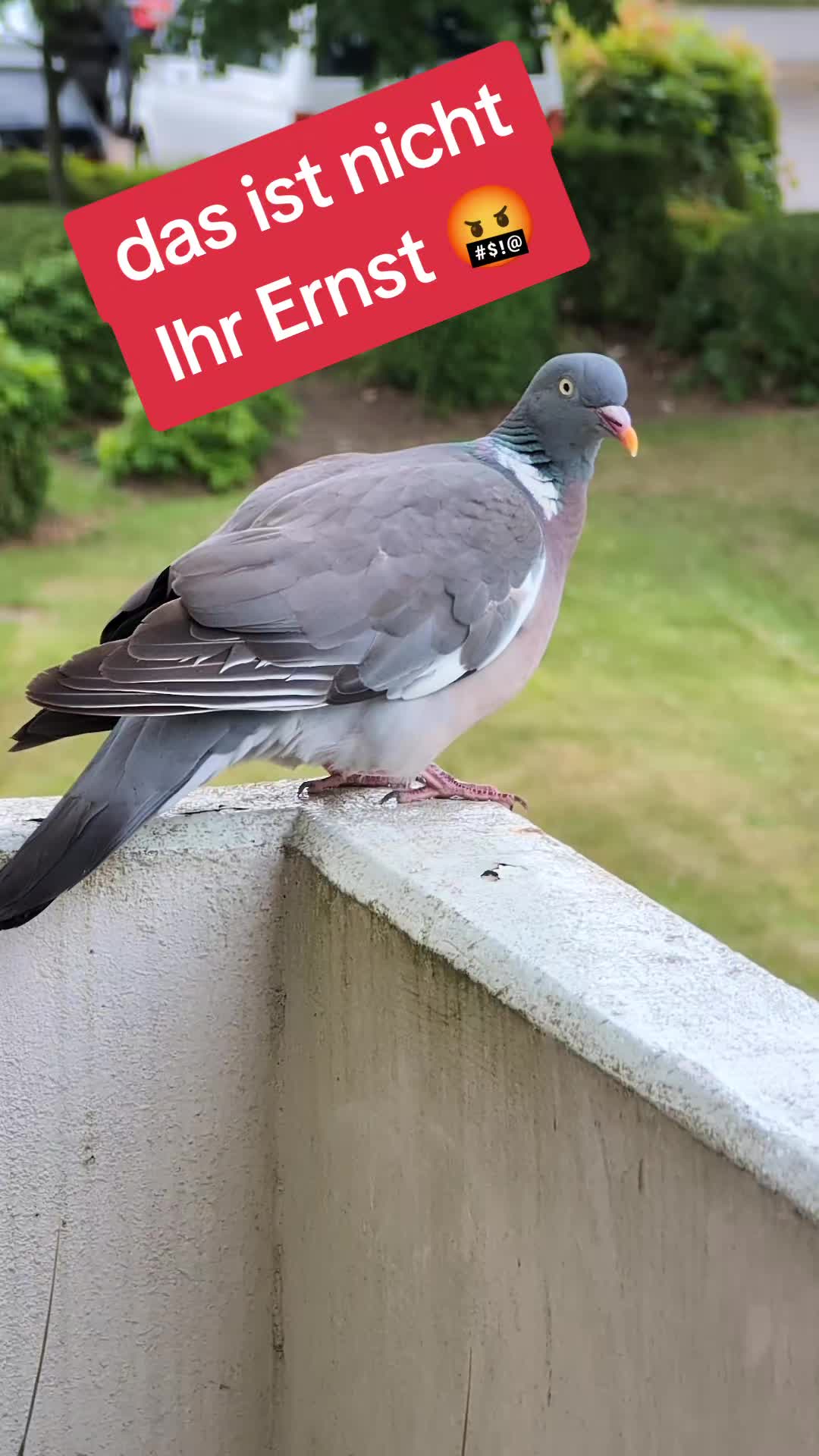 @⛵🧭⚓Küstenlümmel⚓🧭⛵
